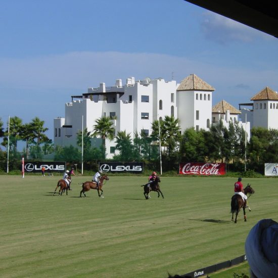 Ayala Polo Club