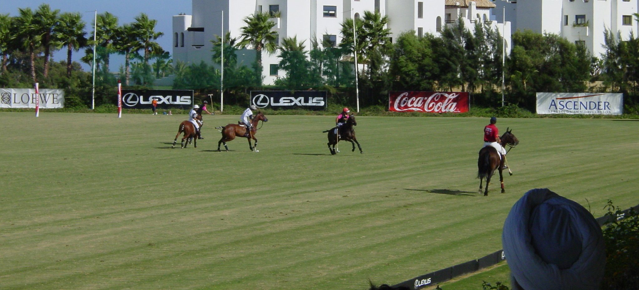 Ayala Polo Club