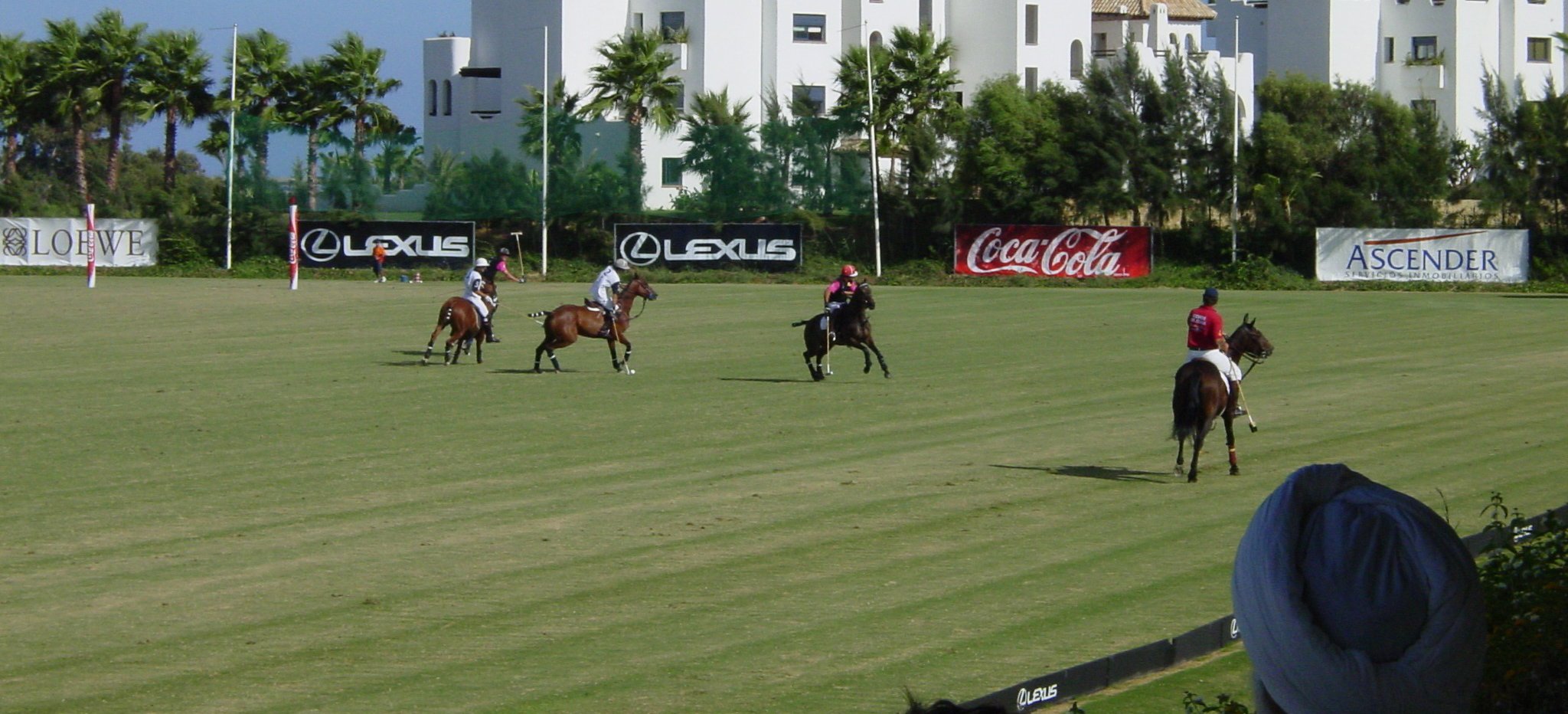 Ayala Polo Club