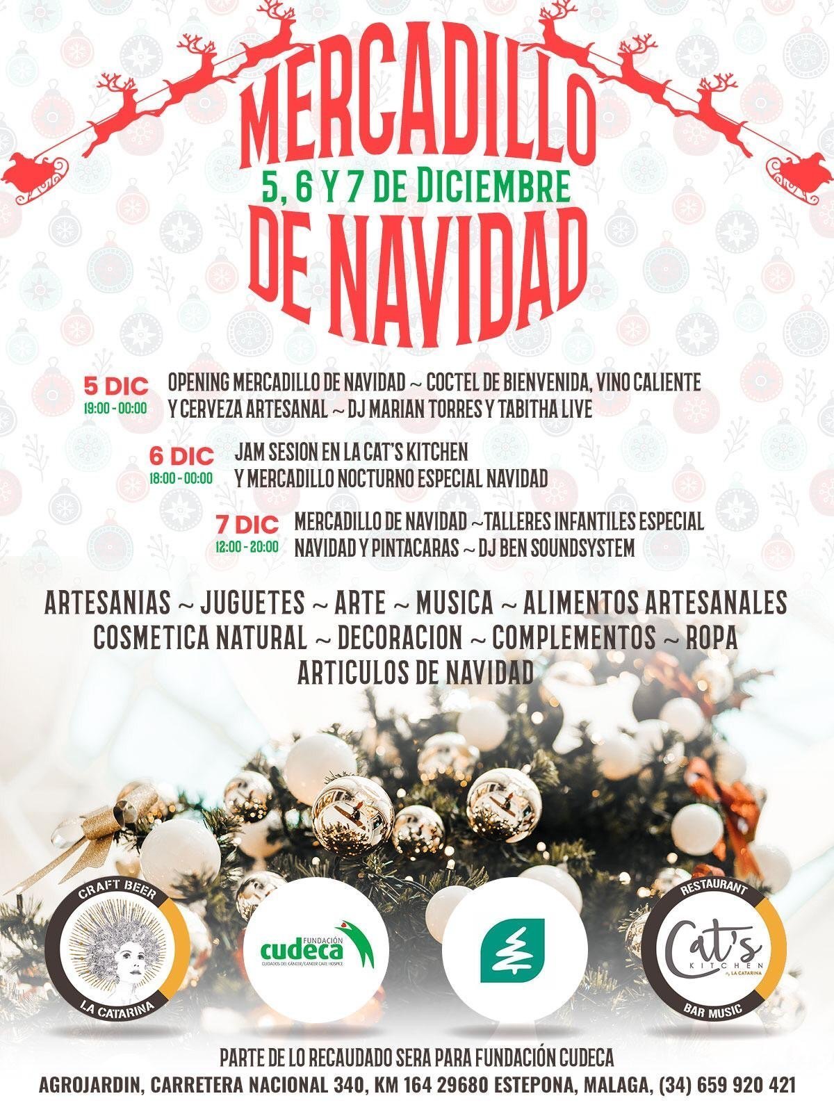 Christmas Market Estepona