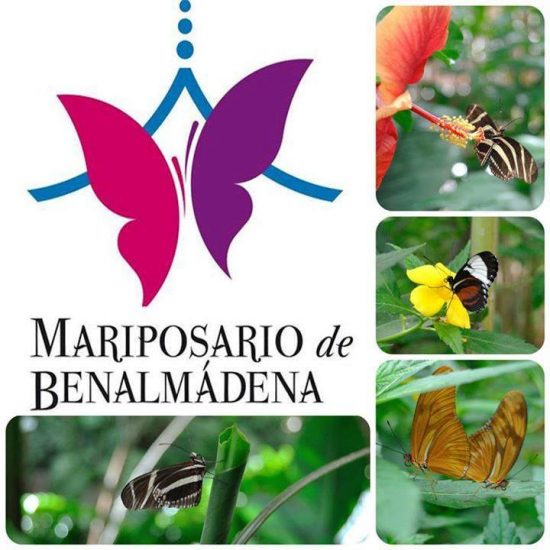 Mariposario Benalmadena Butterfly Park