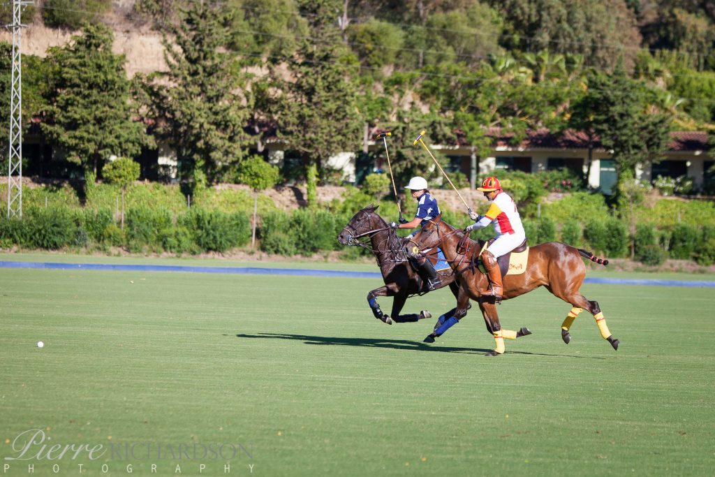 Polo in Sotogrande Guide