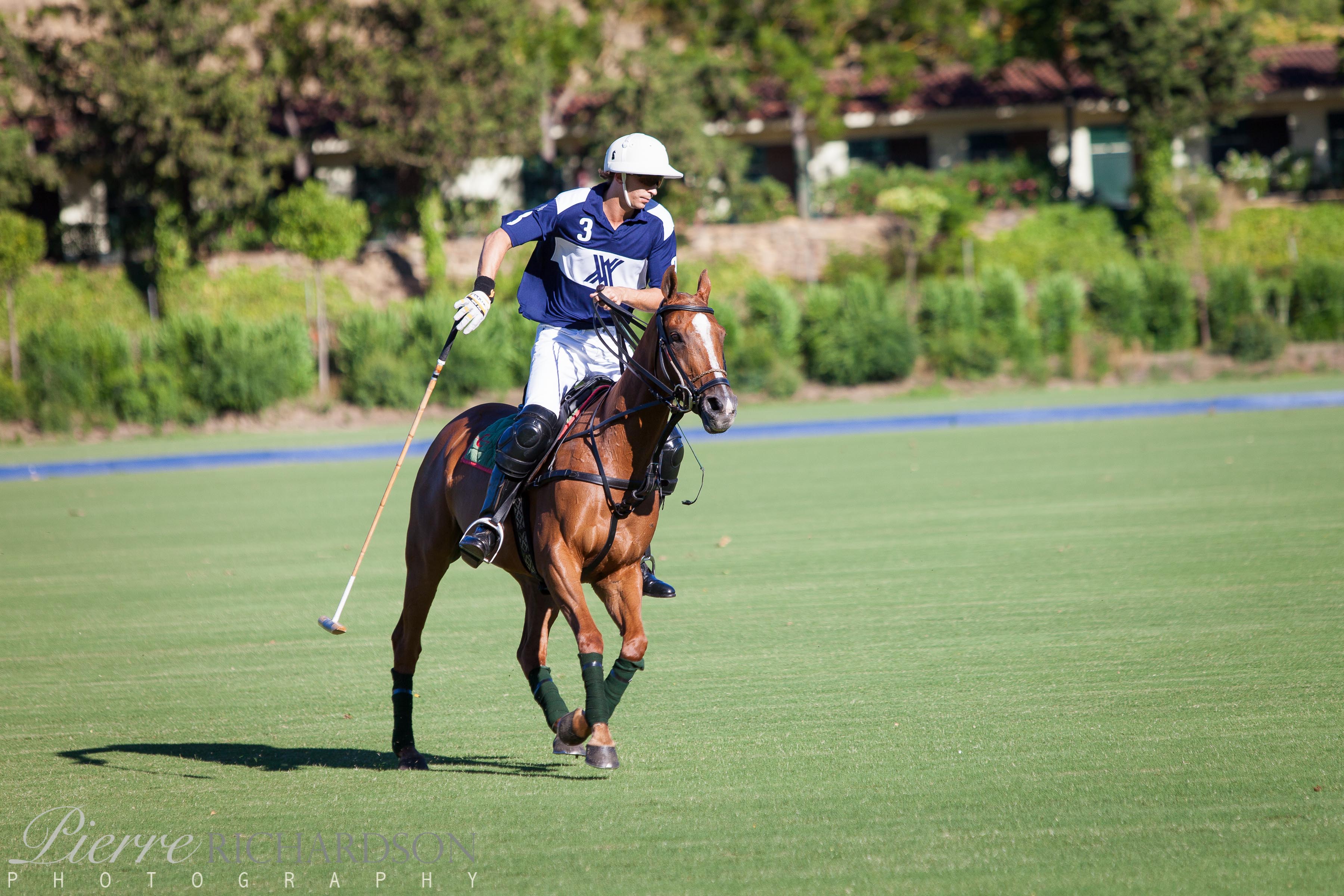 Polo in Sotogrande Guide