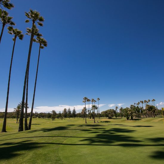 Real Club de Sotogrande Golf Course