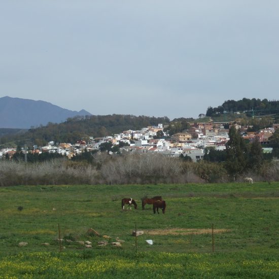 San Enrique de Guadiaro