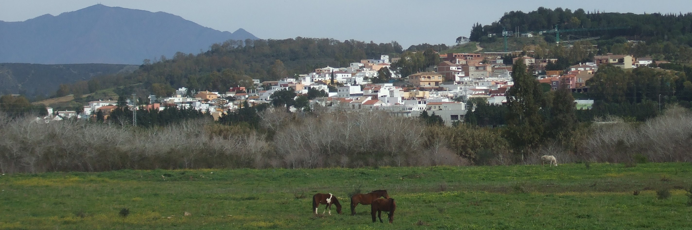 San Enrique de Guadiaro