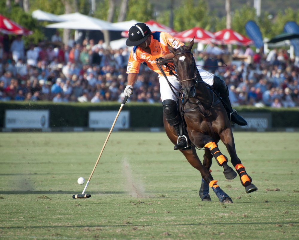 Santa Maria Polo Club