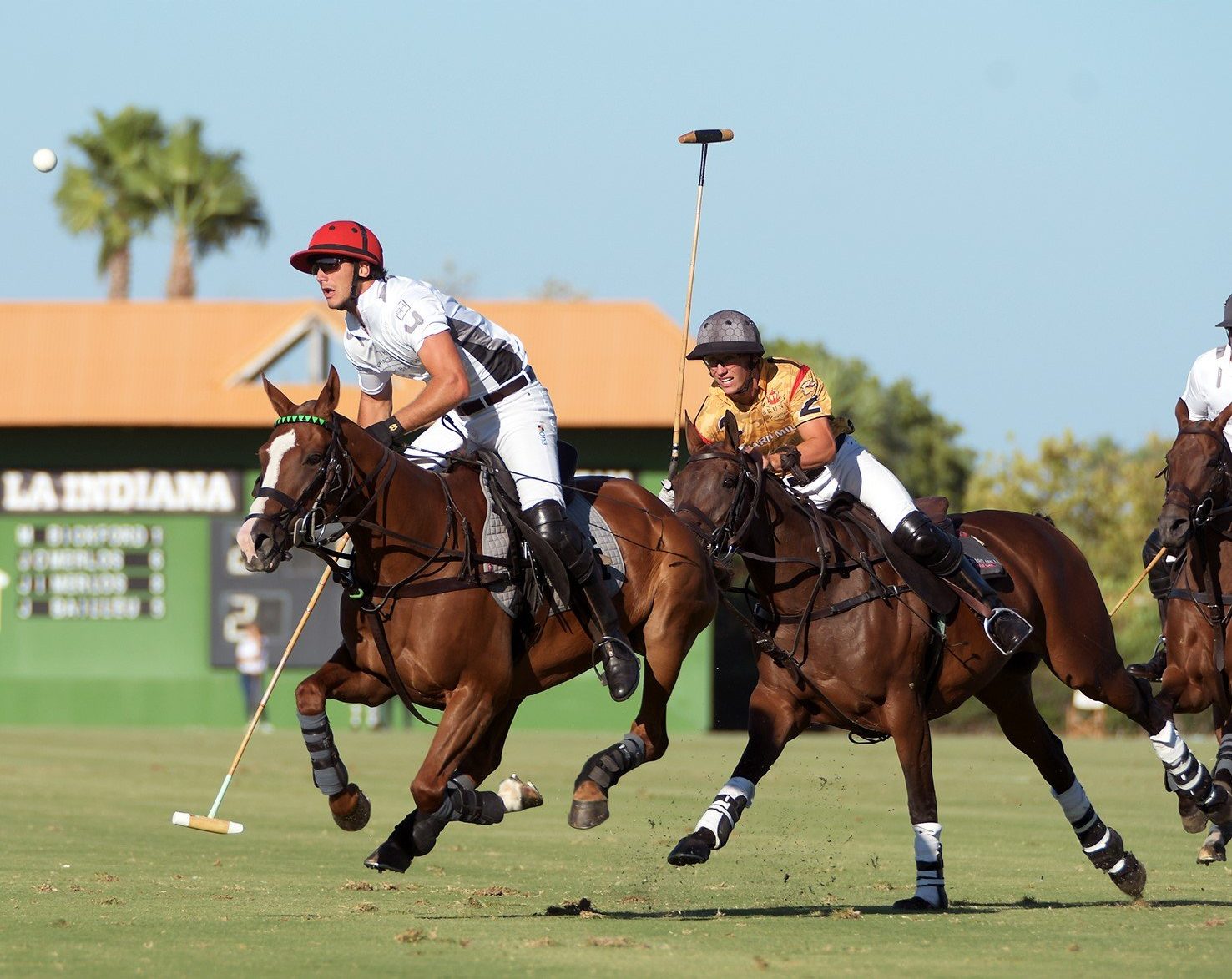 Santa Maria Polo Club